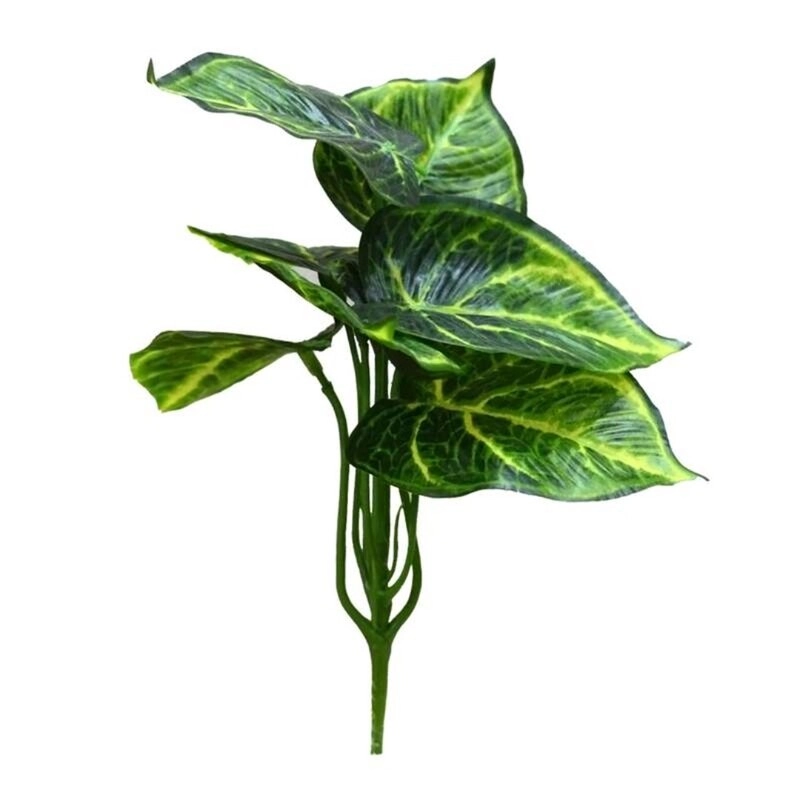 null